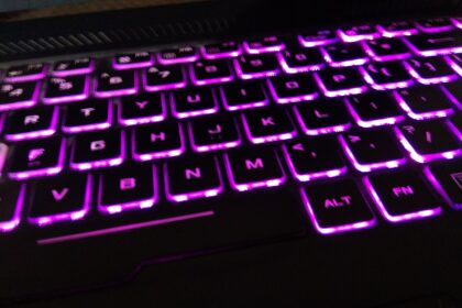 Ransomware Recovery: The First 24 Hours